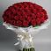 Букет 101 Красная роза Блэк Мэджик в Барсово