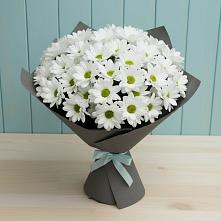 Букет цветов из:  Хризантемы #REPLACE_PRED# Барсово