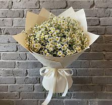 Букет цветов из:  Ромашки в Барсово