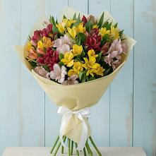 Букет цветов из:  Альстромерии в Барсово