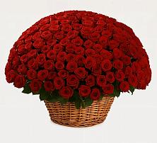 Премиум букет из: Розы в Барсово