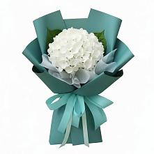 Букет цветов из:  Гортензия #REPLACE_PRED# Барсово